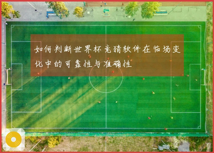 如何判断世界杯竞猜软件在临场变化中的可靠性与准确性