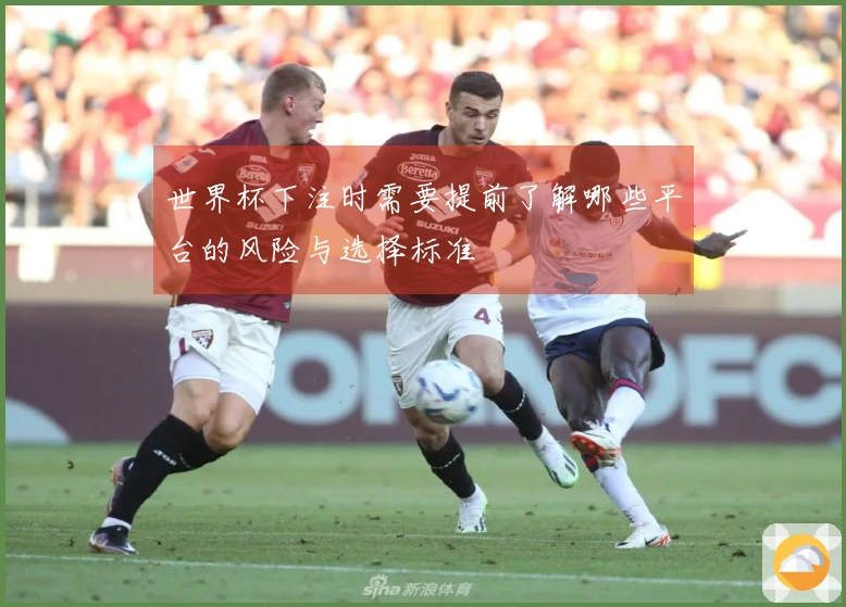 世界杯下注时需要提前了解哪些平台的风险与选择标准