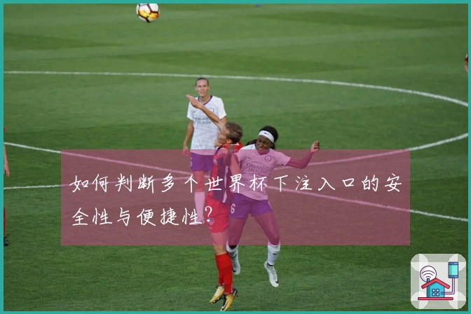 如何判断多个世界杯下注入口的安全性与便捷性?